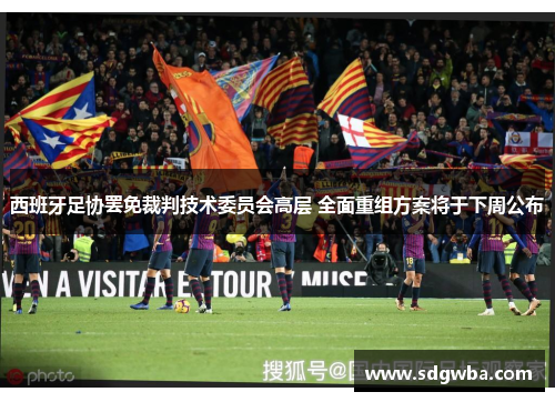 西班牙足协罢免裁判技术委员会高层 全面重组方案将于下周公布